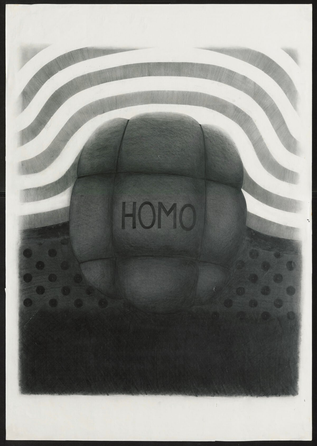 <span class="numbwork">1975</span > <span class="bullwork">•</span > Homo - Image 2