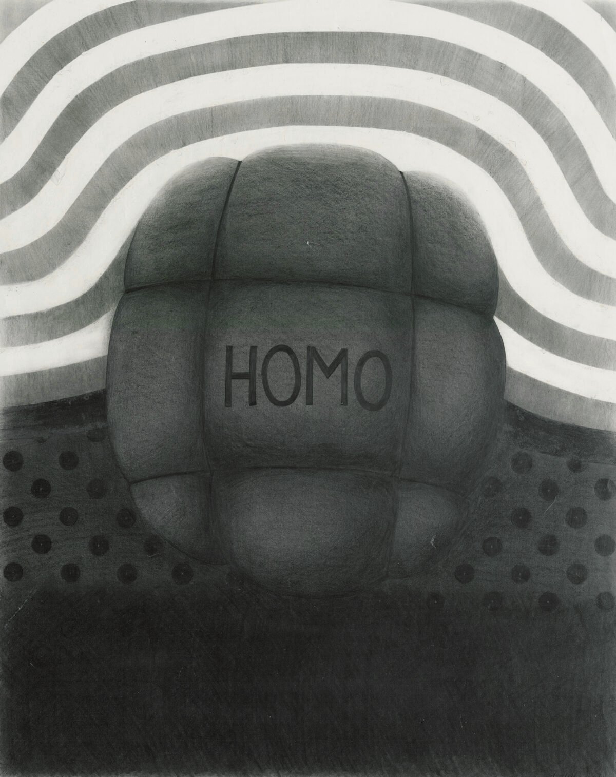 <span class="numbwork">1975</span > <span class="bullwork">•</span > Homo