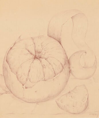 <span class="numbwork">1984</span > <span class="bullwork">•</span > Naranjas
