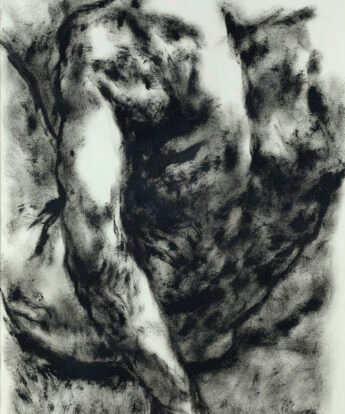 <span class="numbwork">2036</span > <span class="bullwork">•</span > Sin título (2)