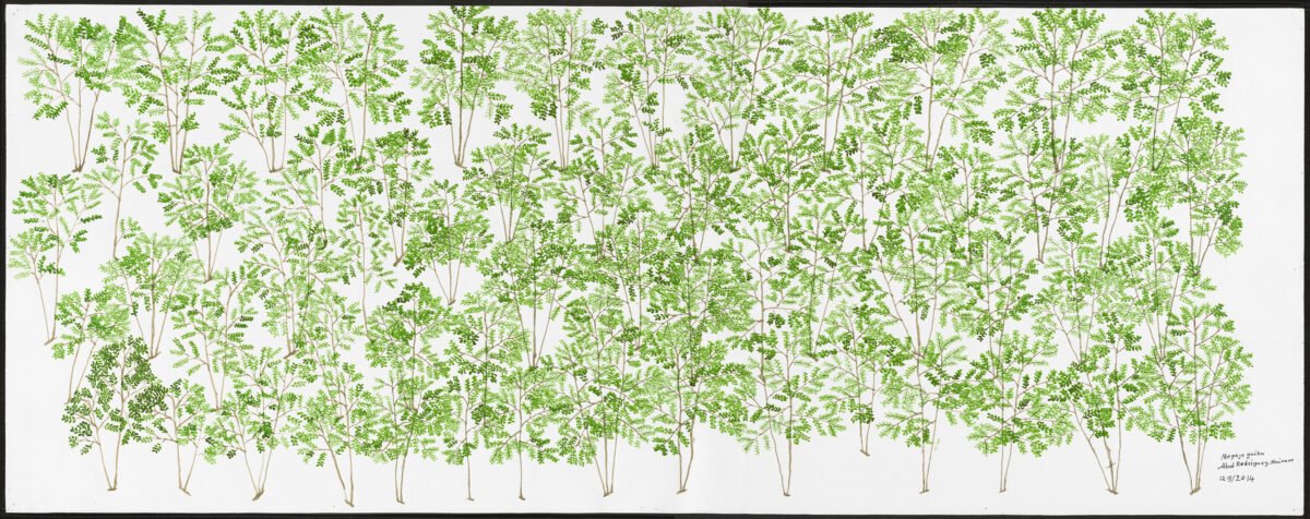 <span class="numbwork">2411</span > <span class="bullwork">•</span > Coca - Image 4
