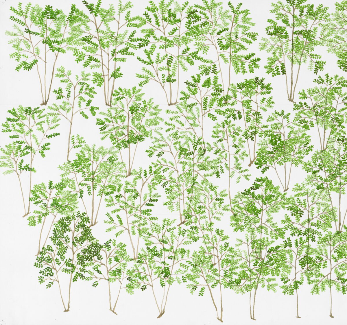 <span class="numbwork">2411</span > <span class="bullwork">•</span > Coca - Image 2