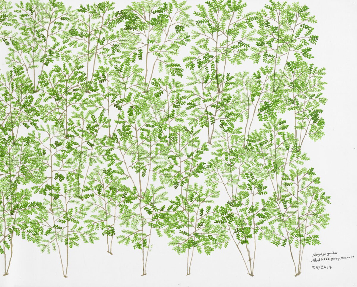 <span class="numbwork">2411</span > <span class="bullwork">•</span > Coca - Image 3