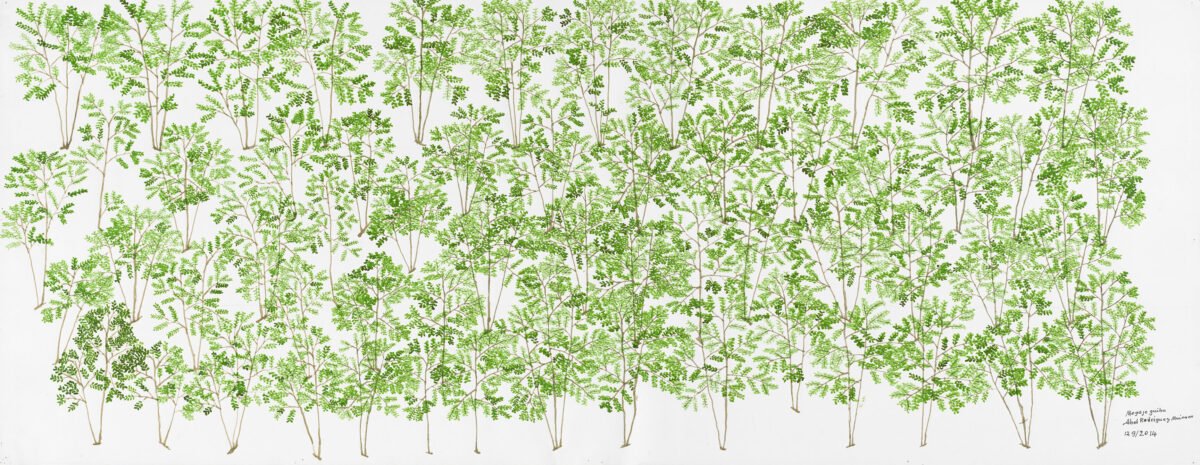 <span class="numbwork">2411</span > <span class="bullwork">•</span > Coca