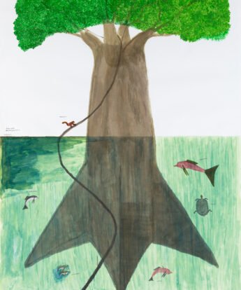 <span class="numbwork">2414</span > <span class="bullwork">•</span > Árbol del agua