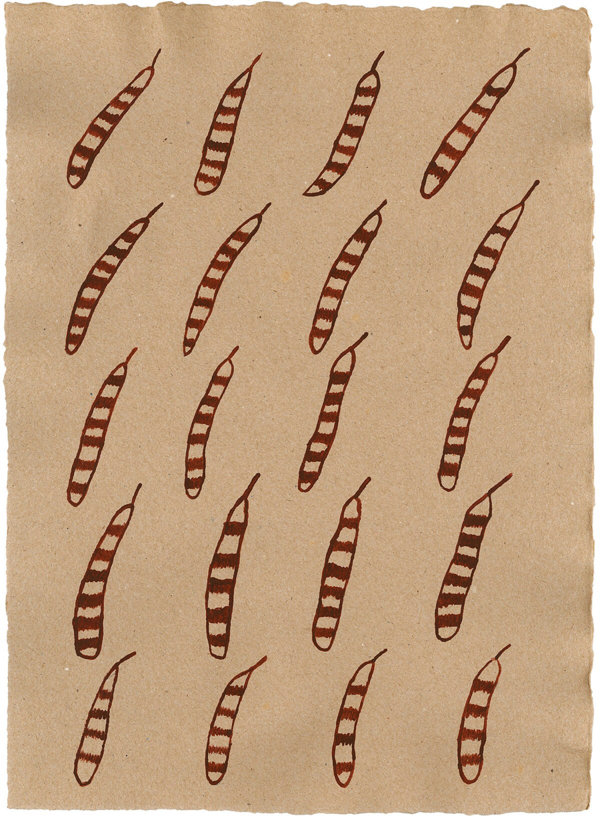 <span class="numbwork">2424</span > <span class="bullwork">•</span > Kamie ya uriji pi jami Parawa ujame theperekui uriji terimi thepe komi kua - Image 6