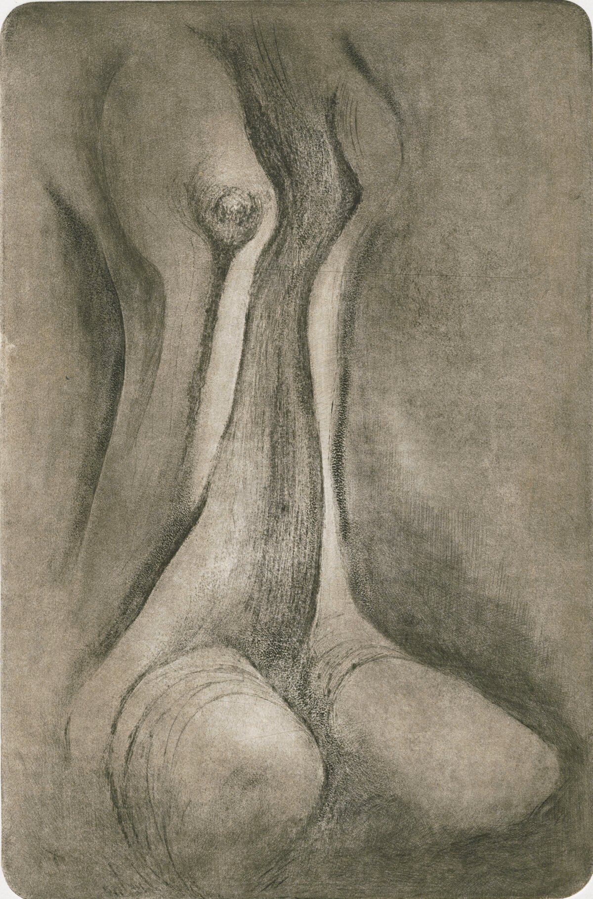 <span class="numbwork">2218</span > <span class="bullwork">•</span > Sin título
