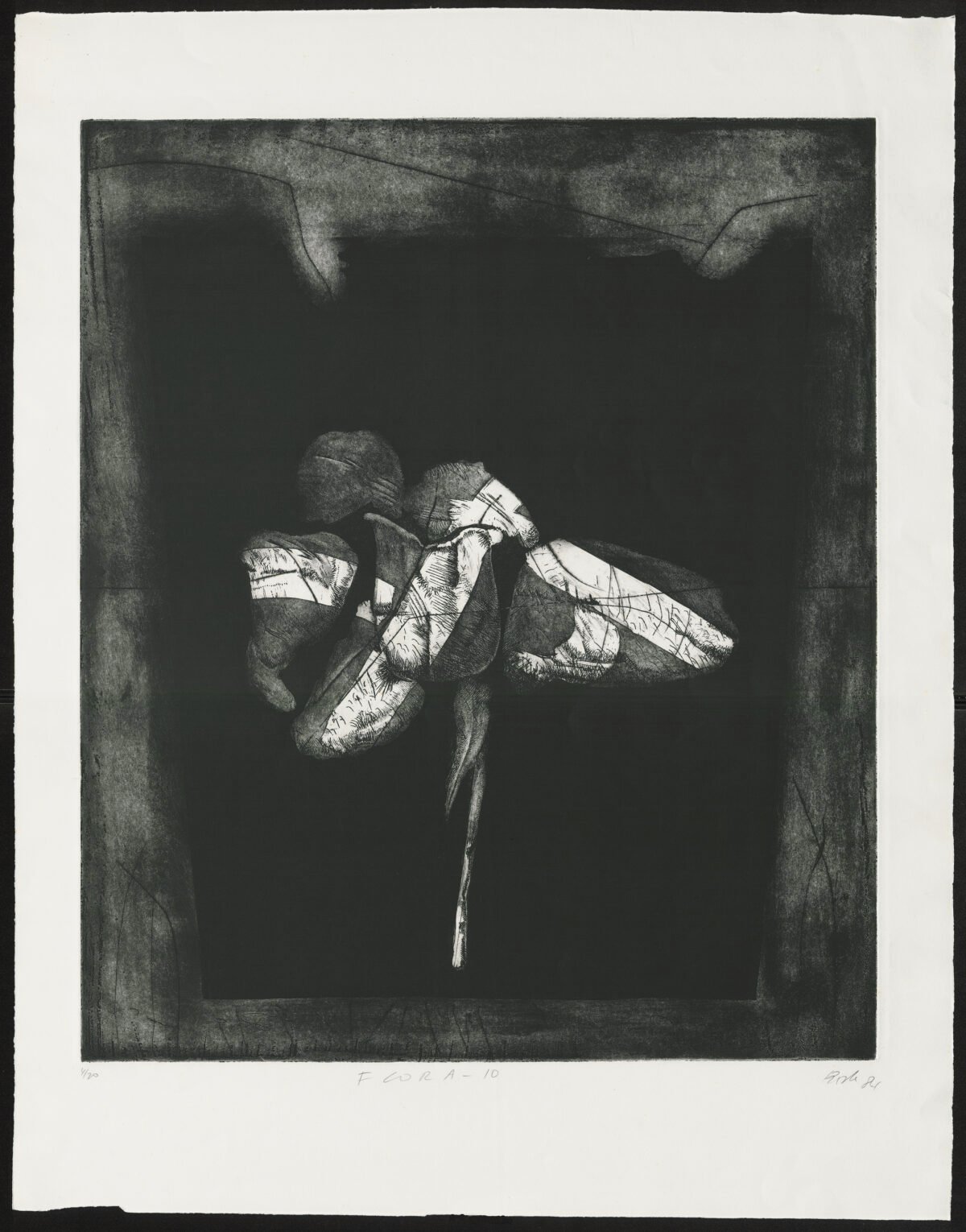 <span class="numbwork">2219</span > <span class="bullwork">•</span > Flora-10 - Image 2