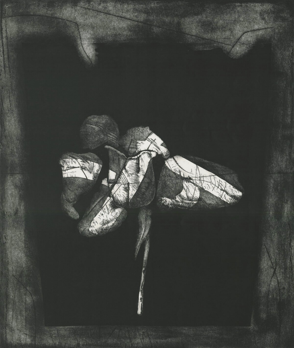 <span class="numbwork">2219</span > <span class="bullwork">•</span > Flora-10