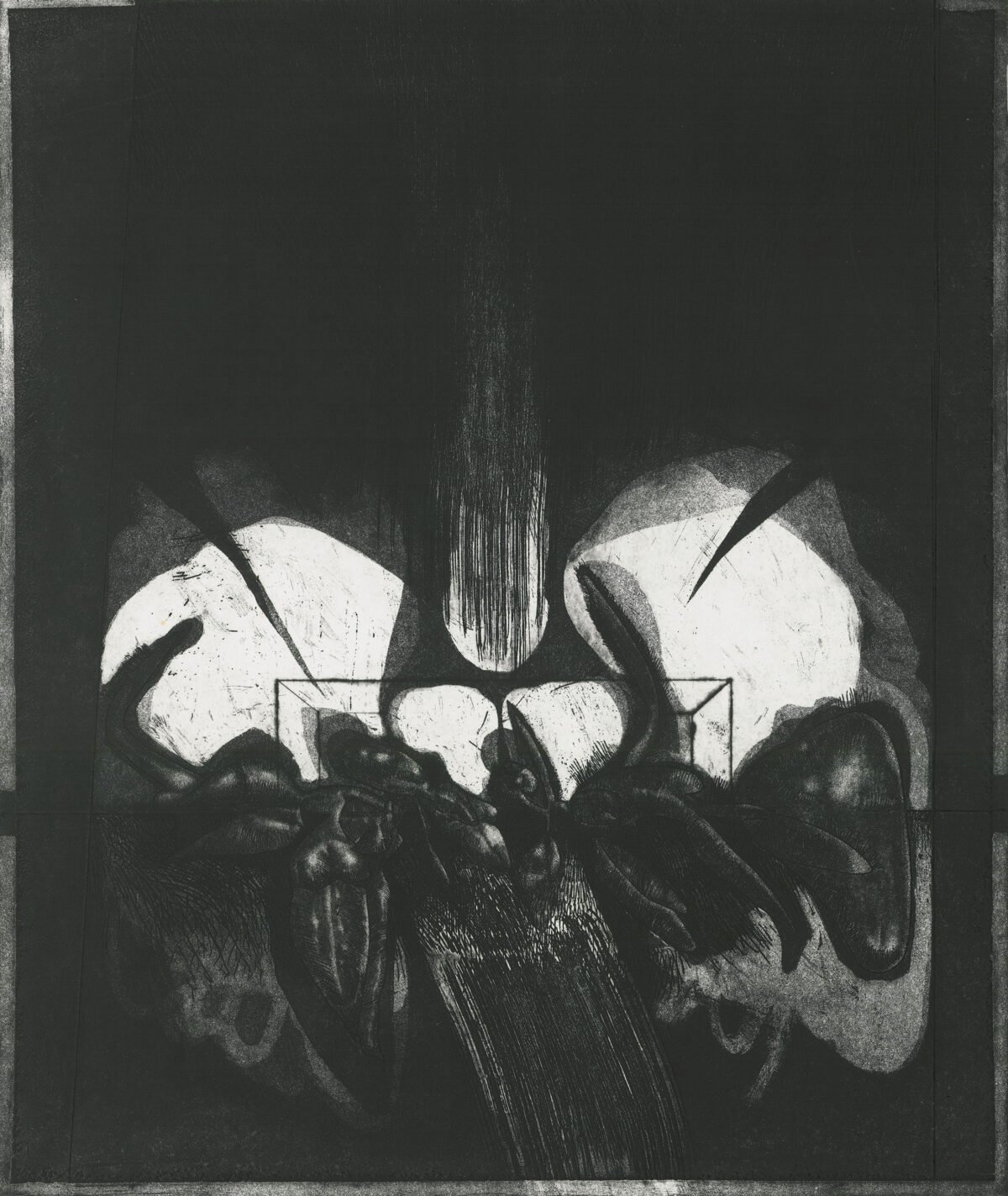 <span class="numbwork">2220</span > <span class="bullwork">•</span > Flora-11