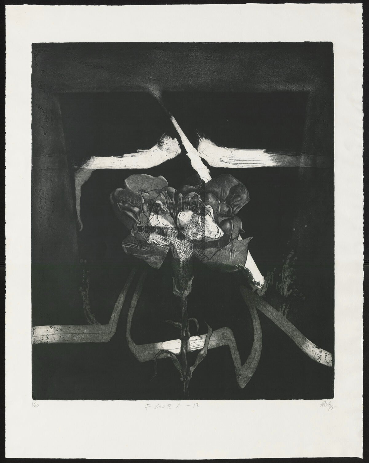 <span class="numbwork">2221</span > <span class="bullwork">•</span > Flora-12 - Image 2