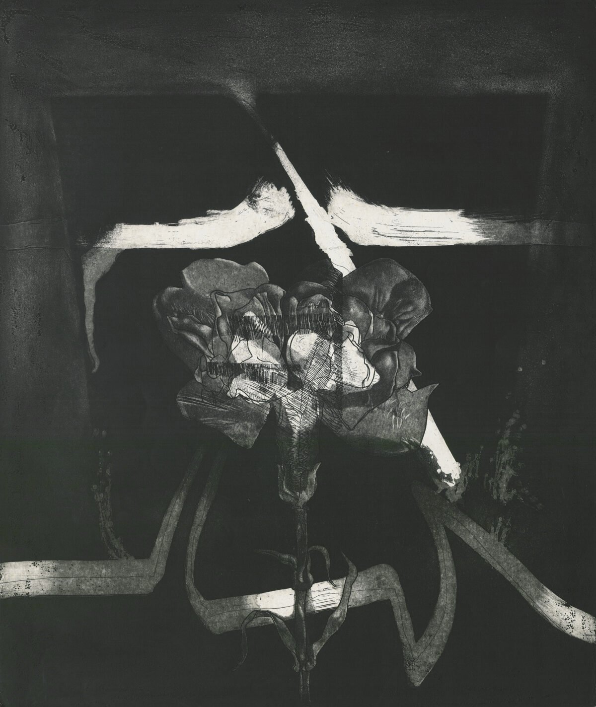 <span class="numbwork">2221</span > <span class="bullwork">•</span > Flora-12