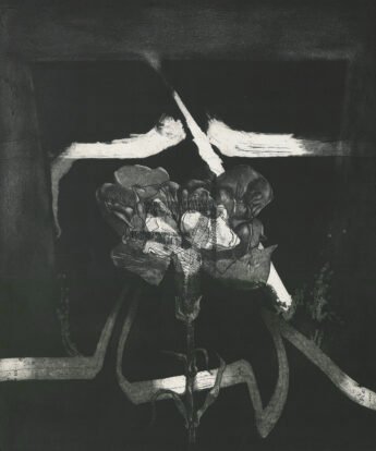 <span class="numbwork">2221</span > <span class="bullwork">•</span > Flora-12