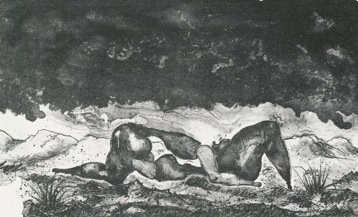 <span class="numbwork">2153</span > <span class="bullwork">•</span > Auscultación pasional