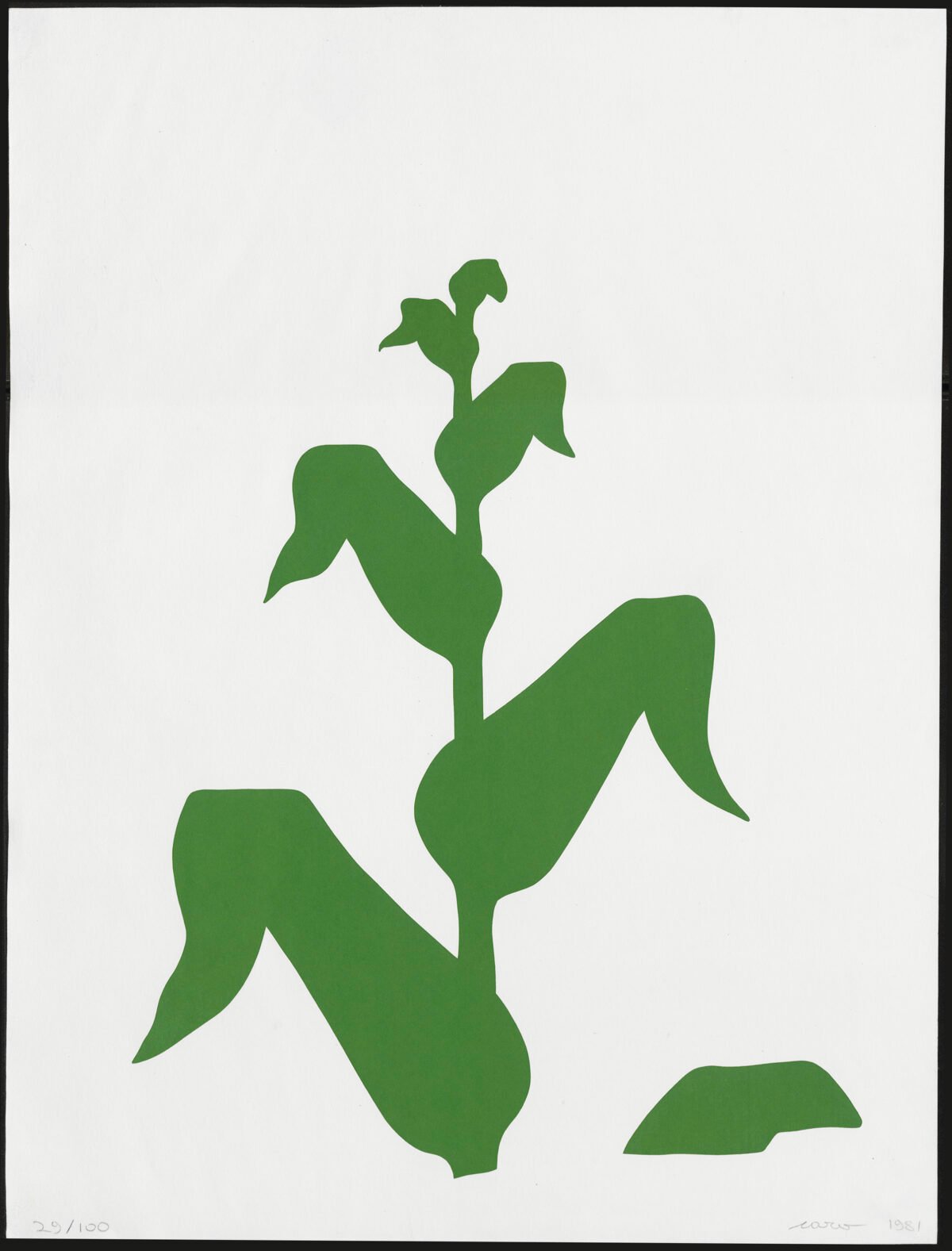 <span class="numbwork">2080</span > <span class="bullwork">•</span > Maíz - Image 2