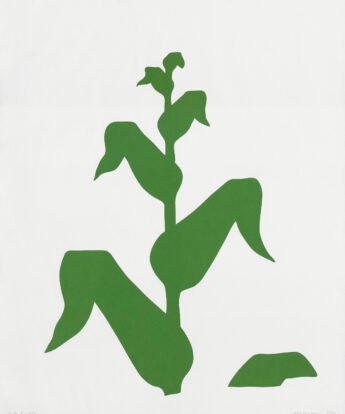 <span class="numbwork">2080</span > <span class="bullwork">•</span > Maíz