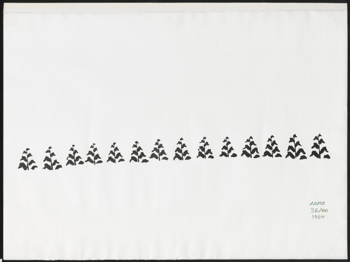 <span class="numbwork">2081</span > <span class="bullwork">•</span > Maizal - Image 2