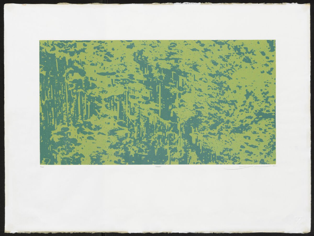 <span class="numbwork">2176</span > <span class="bullwork">•</span > Bosque - Image 2