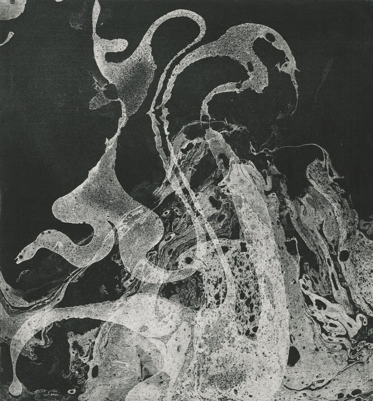 <span class="numbwork">2241</span > <span class="bullwork">•</span > Anaconda