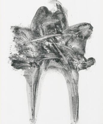 <span class="numbwork">2242</span > <span class="bullwork">•</span > Espantapájaros