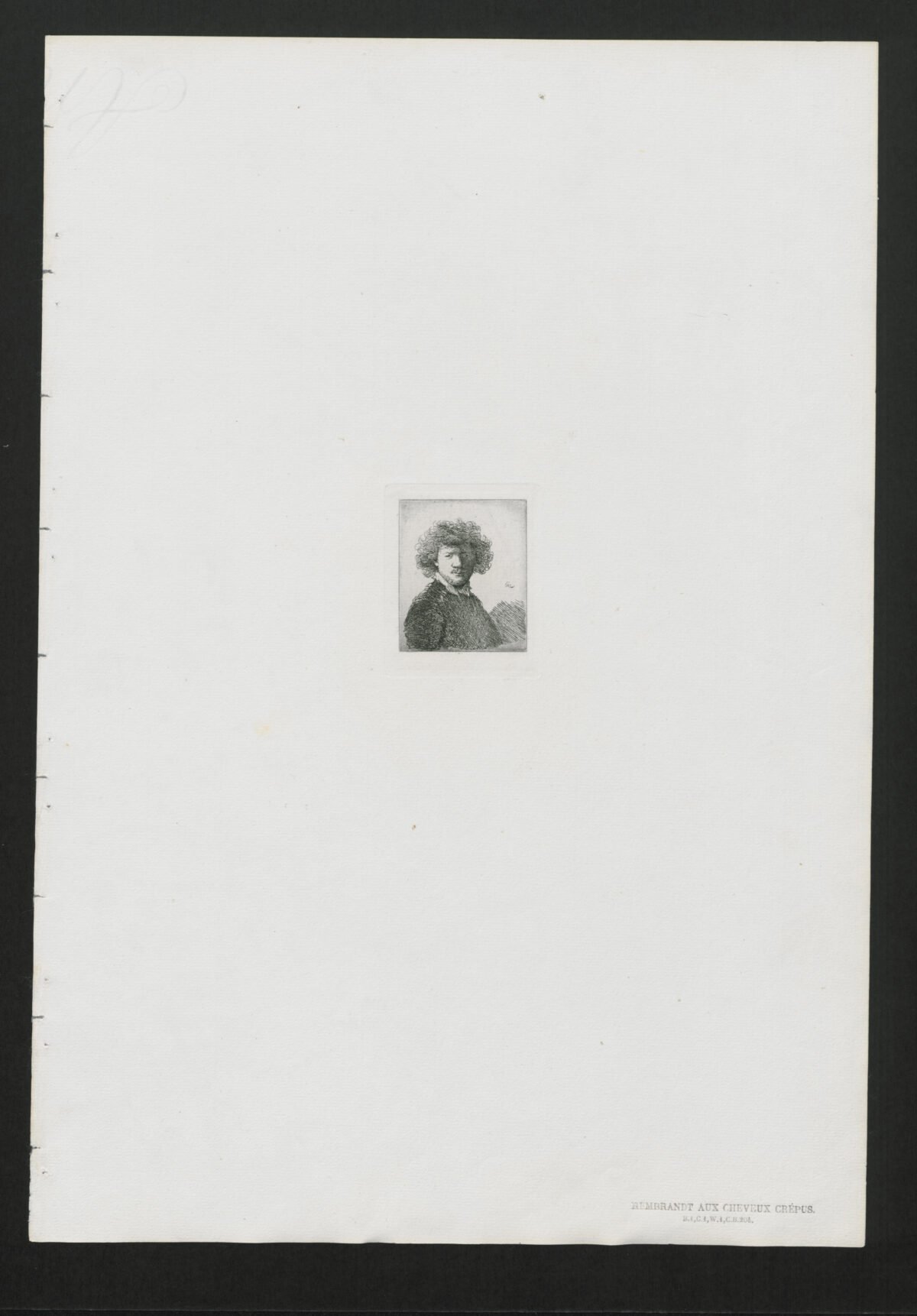 <span class="numbwork">0001</span > <span class="bullwork">•</span > Rembrandt con pelo rizado y cuello blanco - Image 2