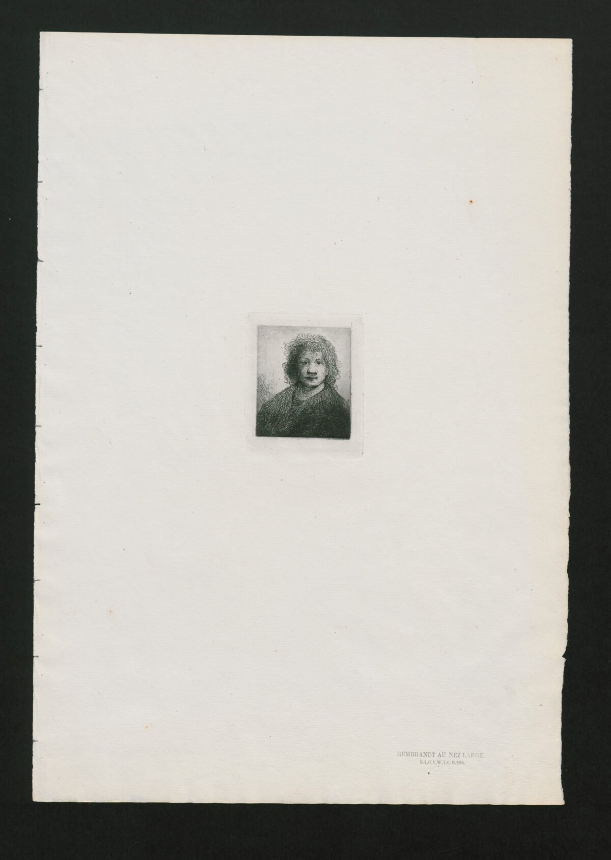 <span class="numbwork">0004</span > <span class="bullwork">•</span > Rembrandt con nariz ancha - Image 2
