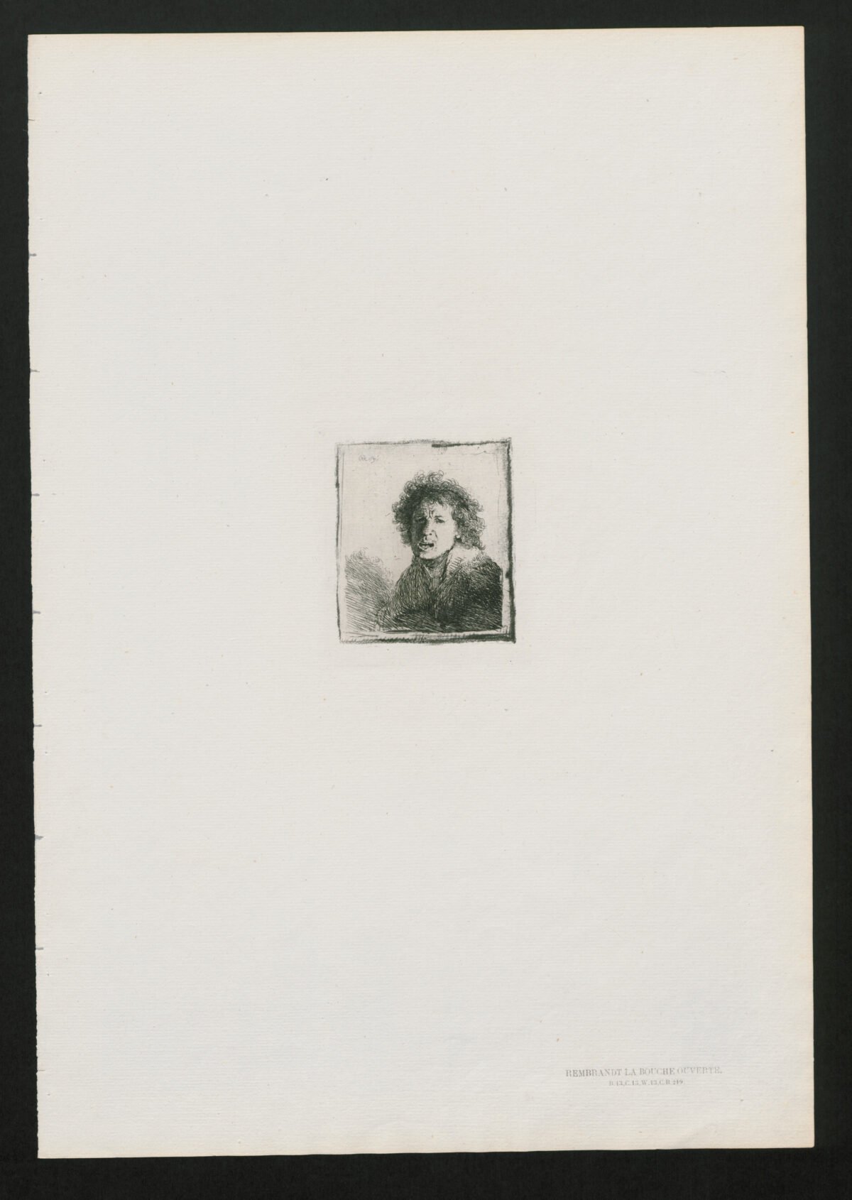<span class="numbwork">0013</span > <span class="bullwork">•</span > Rembrandt con la boca abierta - Image 2