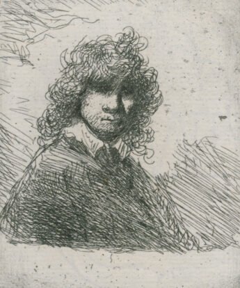 <span class="numbwork">0027</span > <span class="bullwork">•</span > Rembrandt con cabellos crespos y levantados