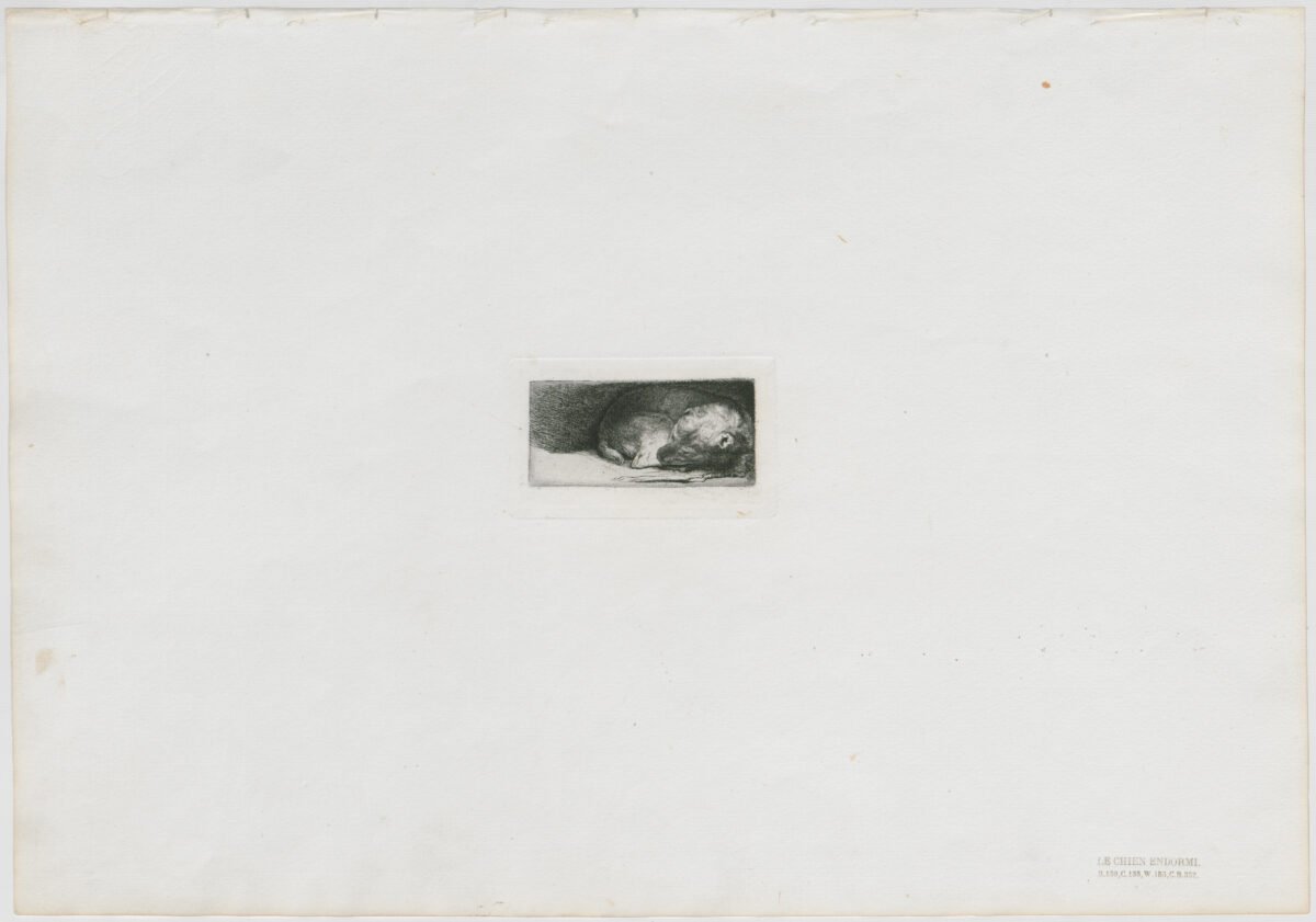 <span class="numbwork">0138</span > <span class="bullwork">•</span > El perro dormido - Image 2
