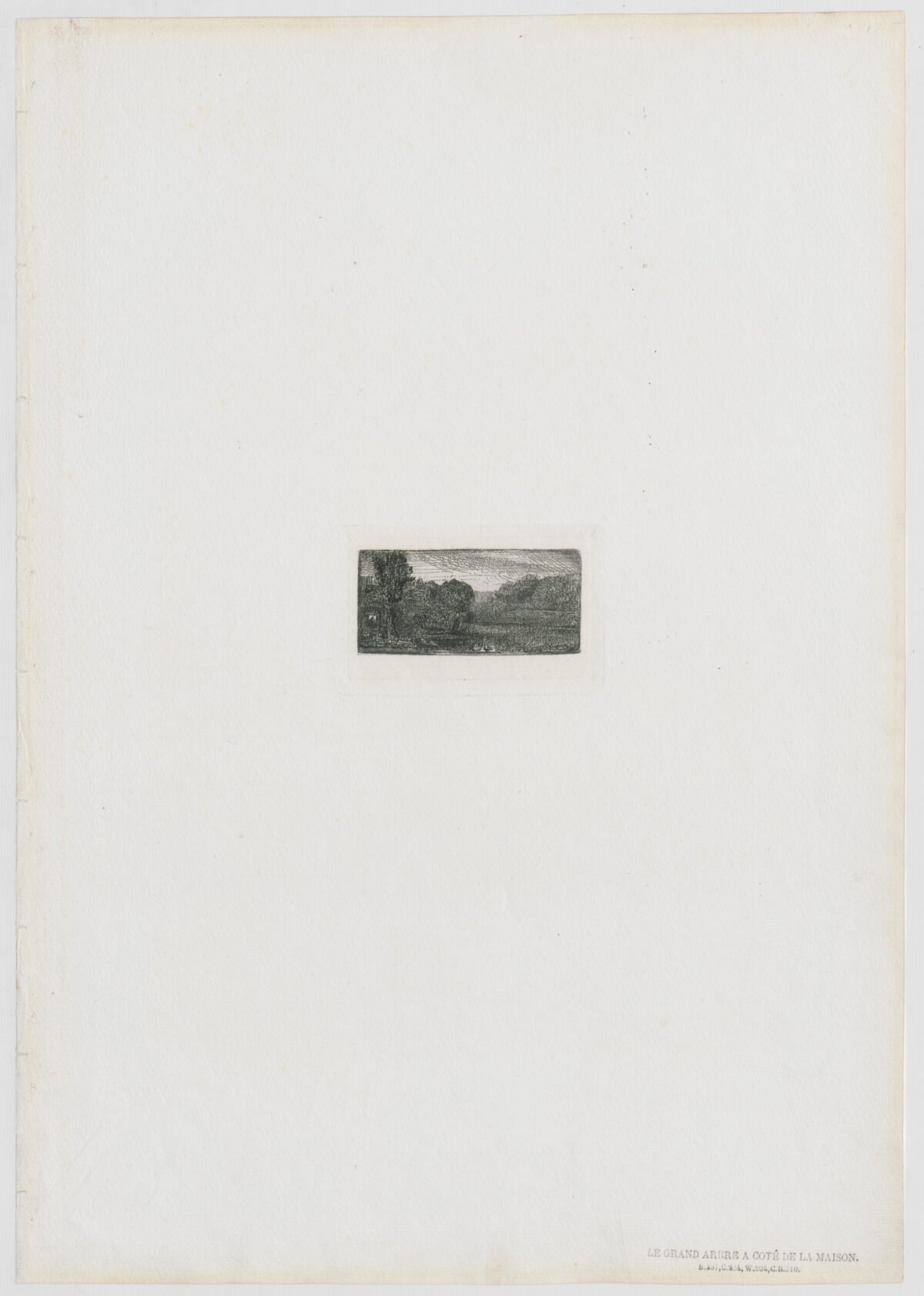 <span class="numbwork">0179</span > <span class="bullwork">•</span >  El gran árbol al lado de la casa - Image 2
