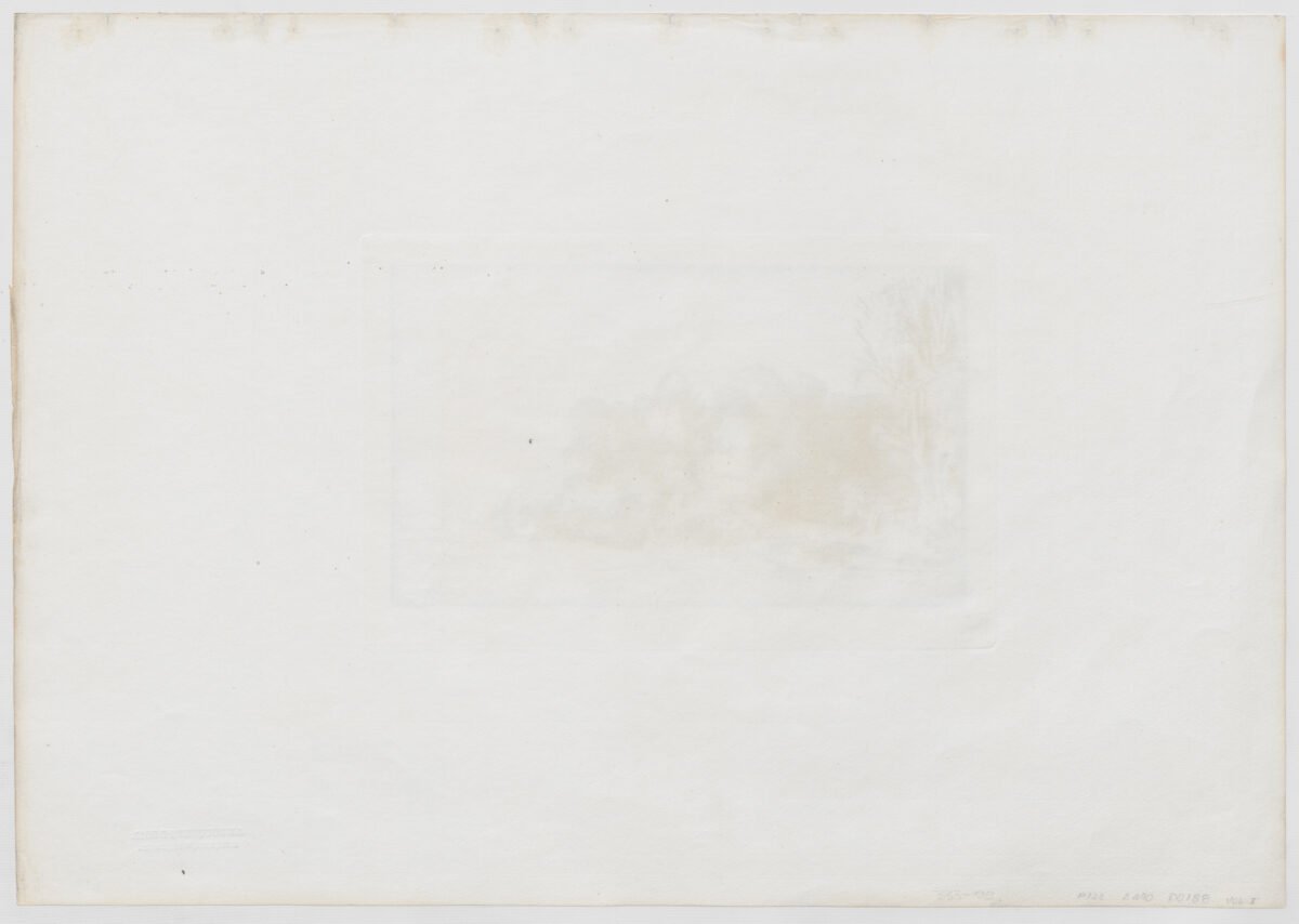 <span class="numbwork">0188</span > <span class="bullwork">•</span >  Grupo de árboles con vista - Image 3