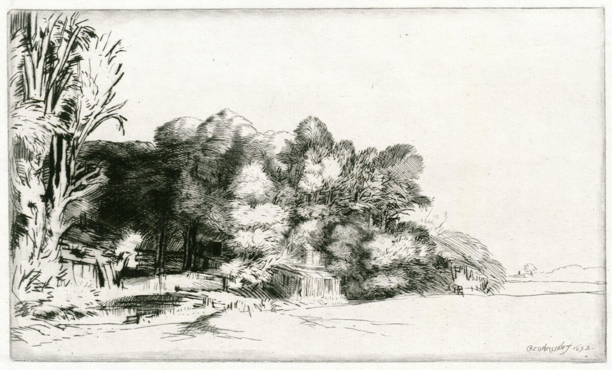 <span class="numbwork">0188</span > <span class="bullwork">•</span >  Grupo de árboles con vista