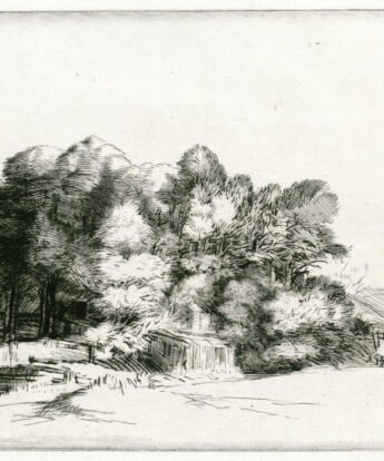 <span class="numbwork">0188</span > <span class="bullwork">•</span >  Grupo de árboles con vista