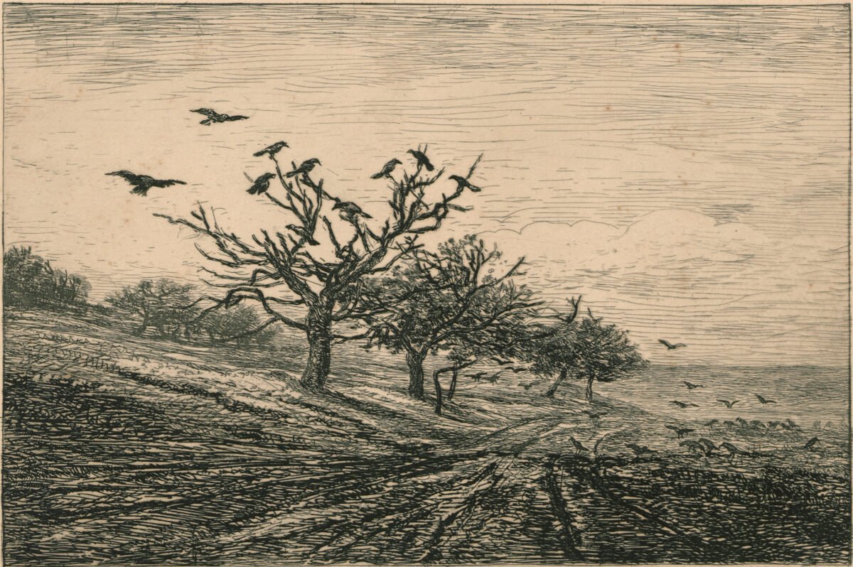 <span class="numbwork">1019</span > <span class="bullwork">•</span > Árbol repleto de cuervos