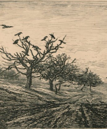 <span class="numbwork">1019</span > <span class="bullwork">•</span > Árbol repleto de cuervos