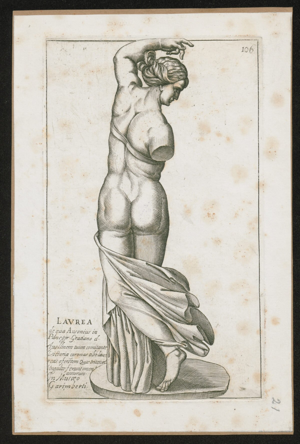 <span class="numbwork">1030</span > <span class="bullwork">•</span > Laurea - Image 2