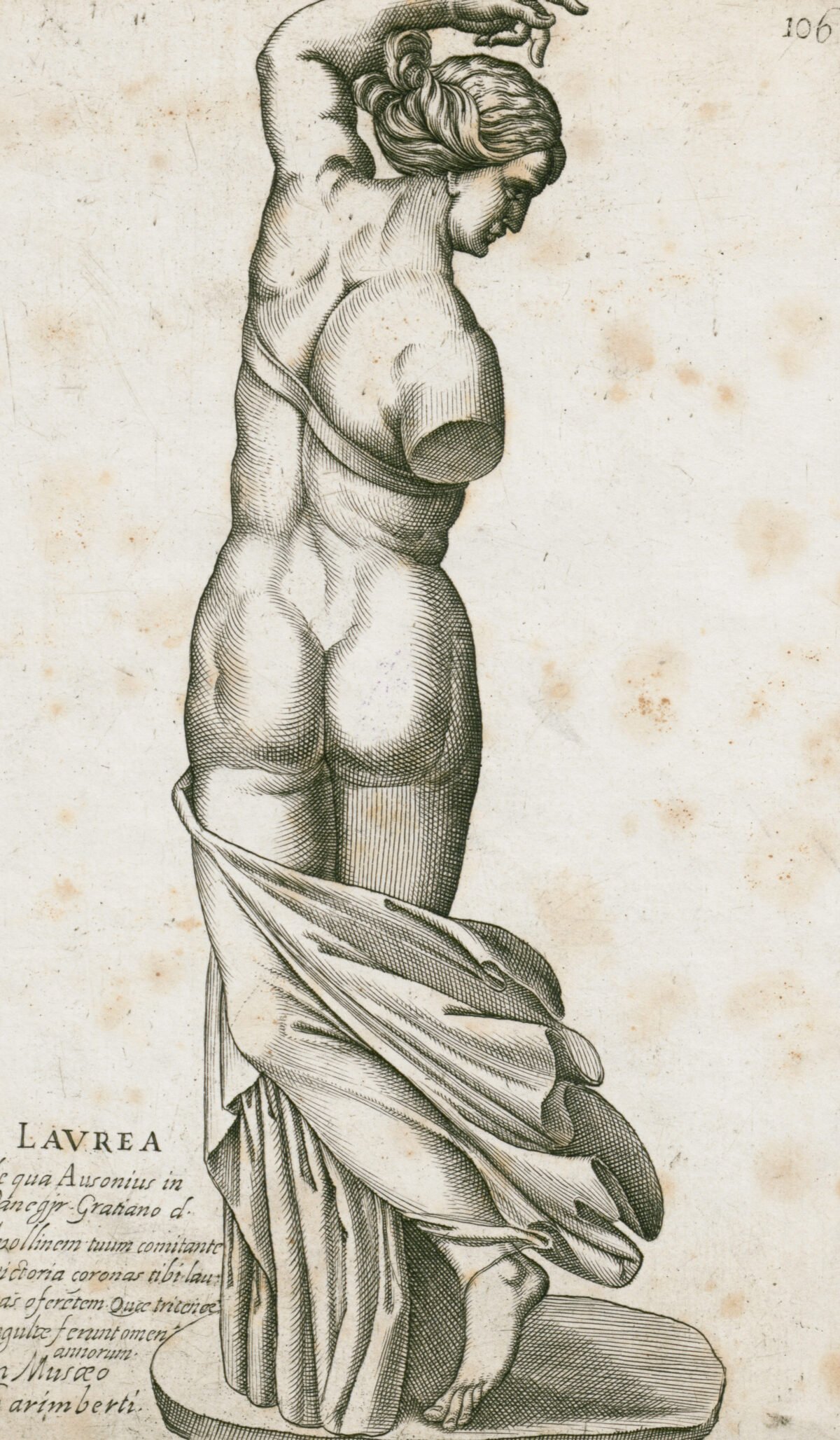 <span class="numbwork">1030</span > <span class="bullwork">•</span > Laurea