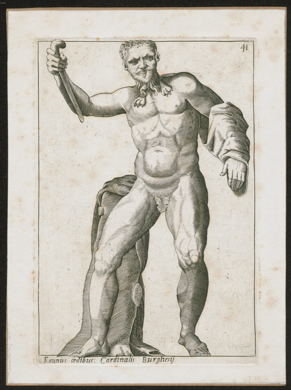 <span class="numbwork">1031</span > <span class="bullwork">•</span > Fauno Cedibus - Image 2