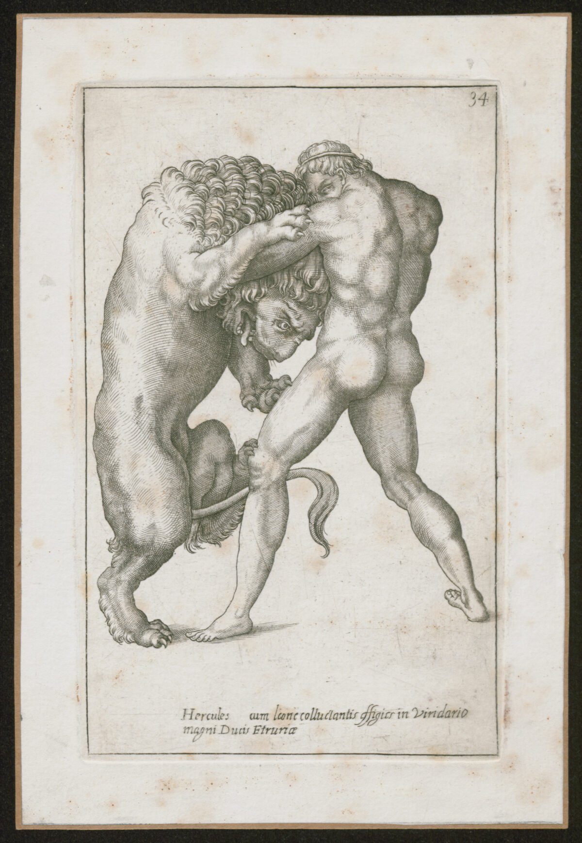 <span class="numbwork">1032</span > <span class="bullwork">•</span > Hércules y el león de Nemea - Image 2