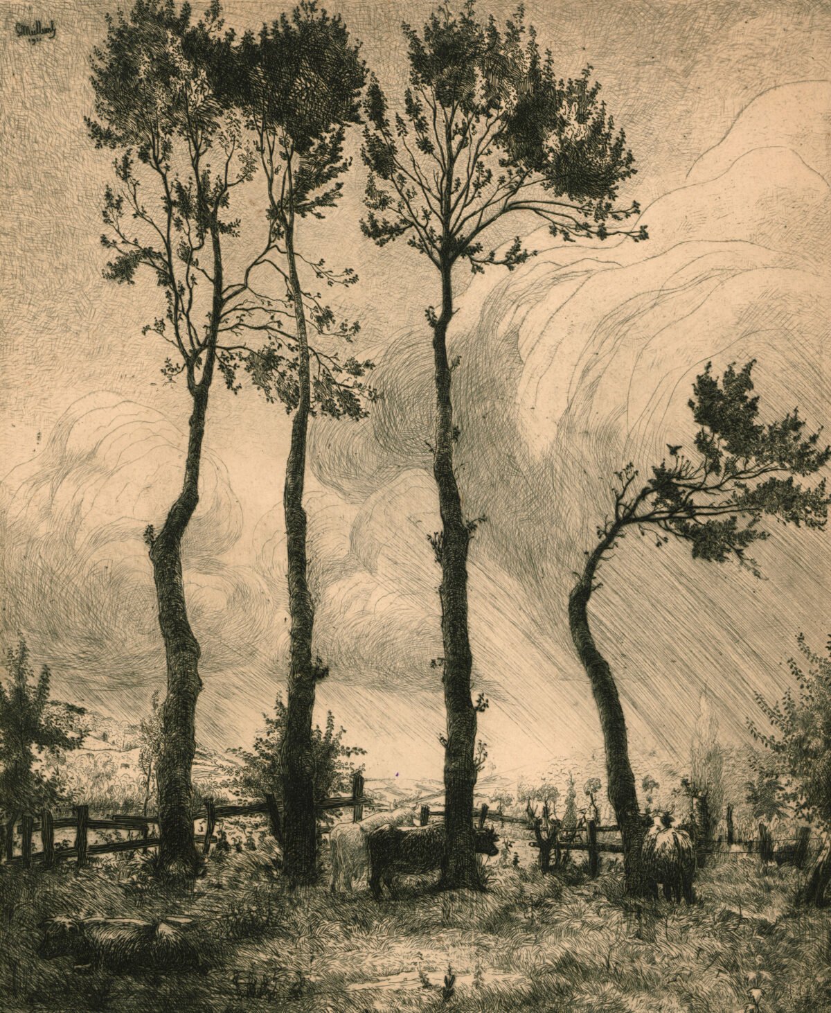 <span class="numbwork">1060</span > <span class="bullwork">•</span > Los prados de Montville (Francia)