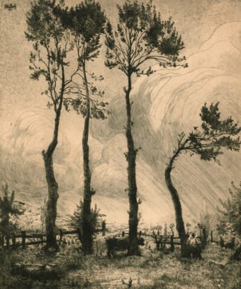 <span class="numbwork">1060</span > <span class="bullwork">•</span > Los prados de Montville (Francia)