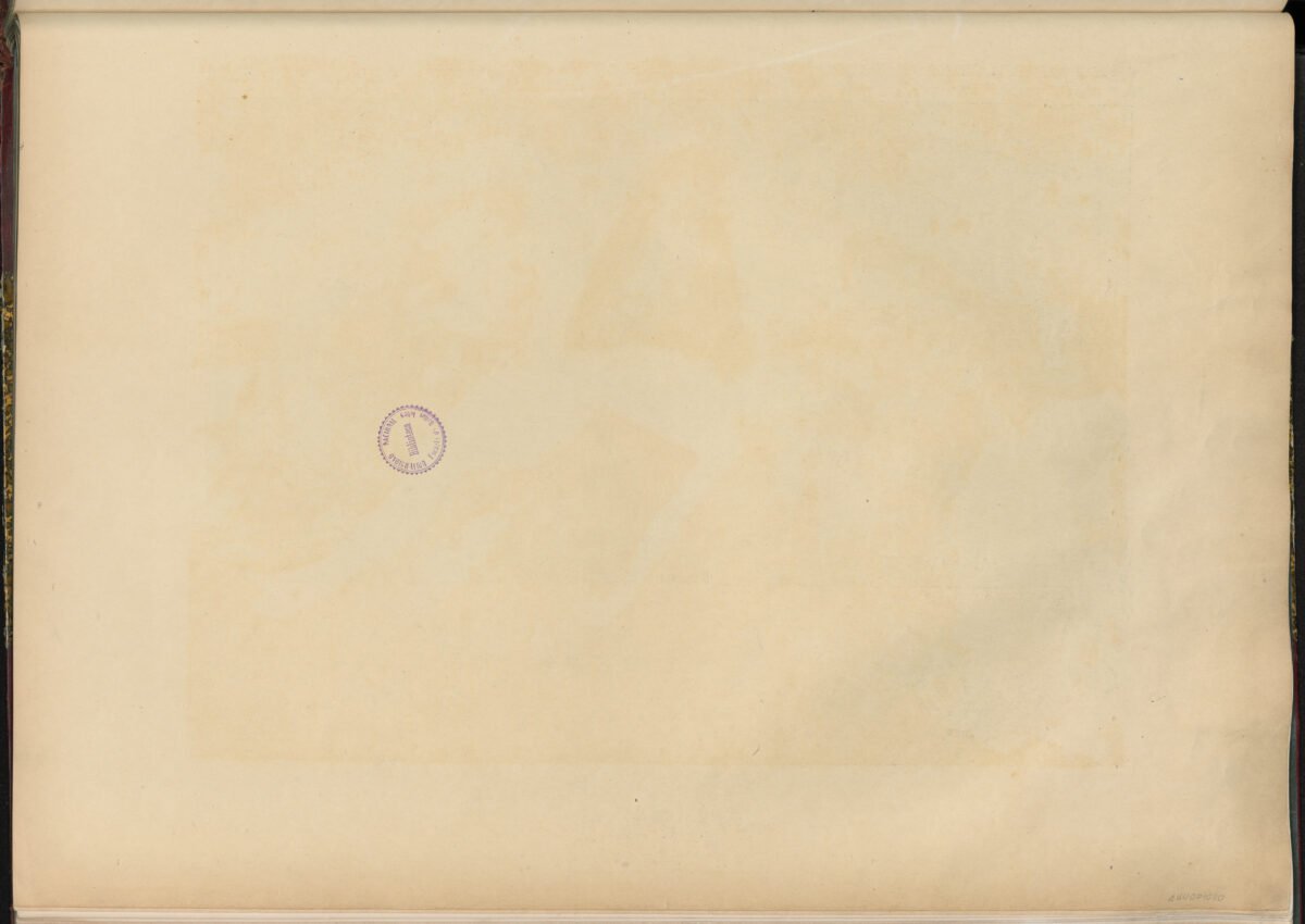 <span class="numbwork">1080</span > <span class="bullwork">•</span > El estanque - Image 3