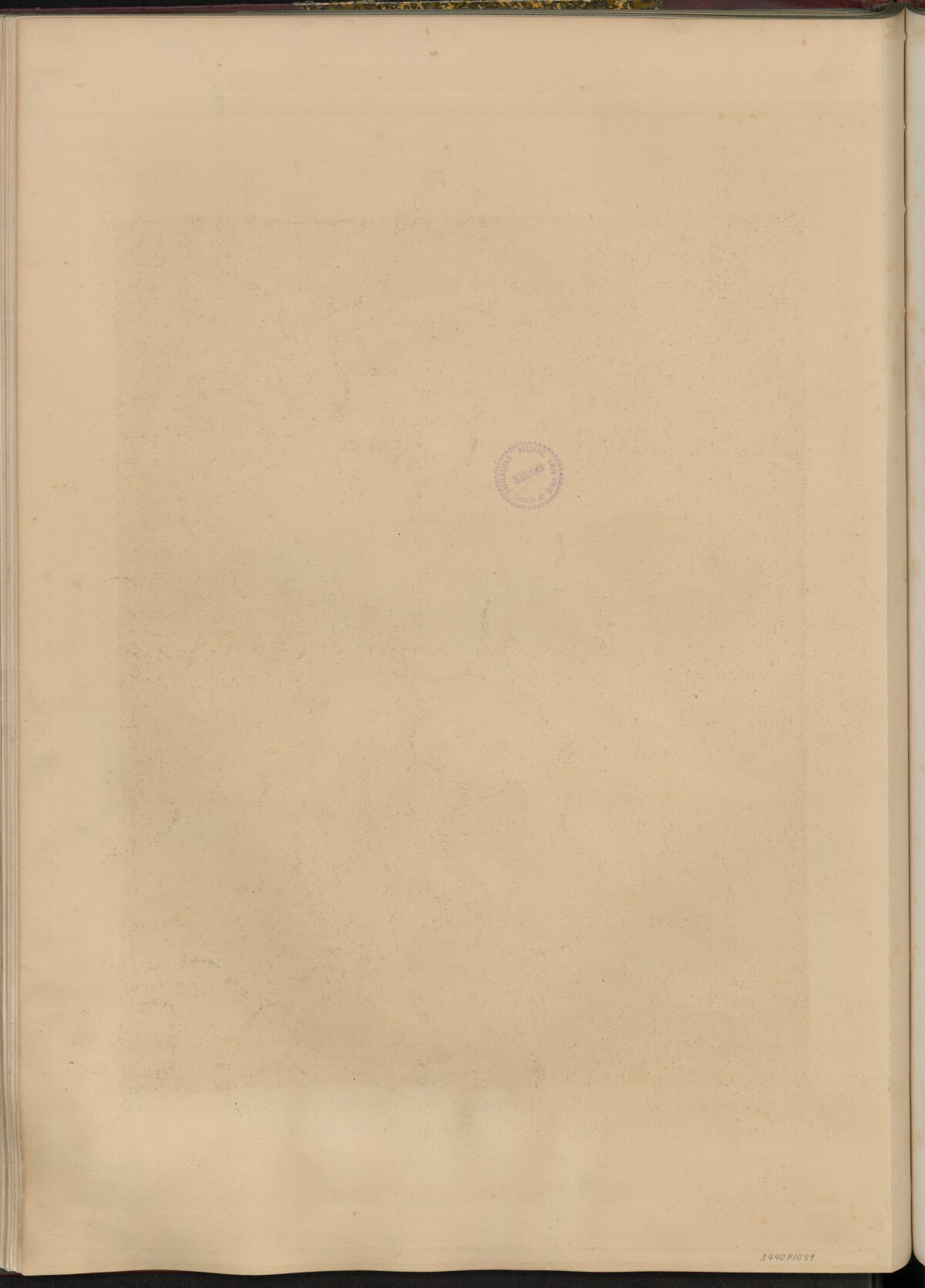 <span class="numbwork">1089</span > <span class="bullwork">•</span > El estudio - Image 3