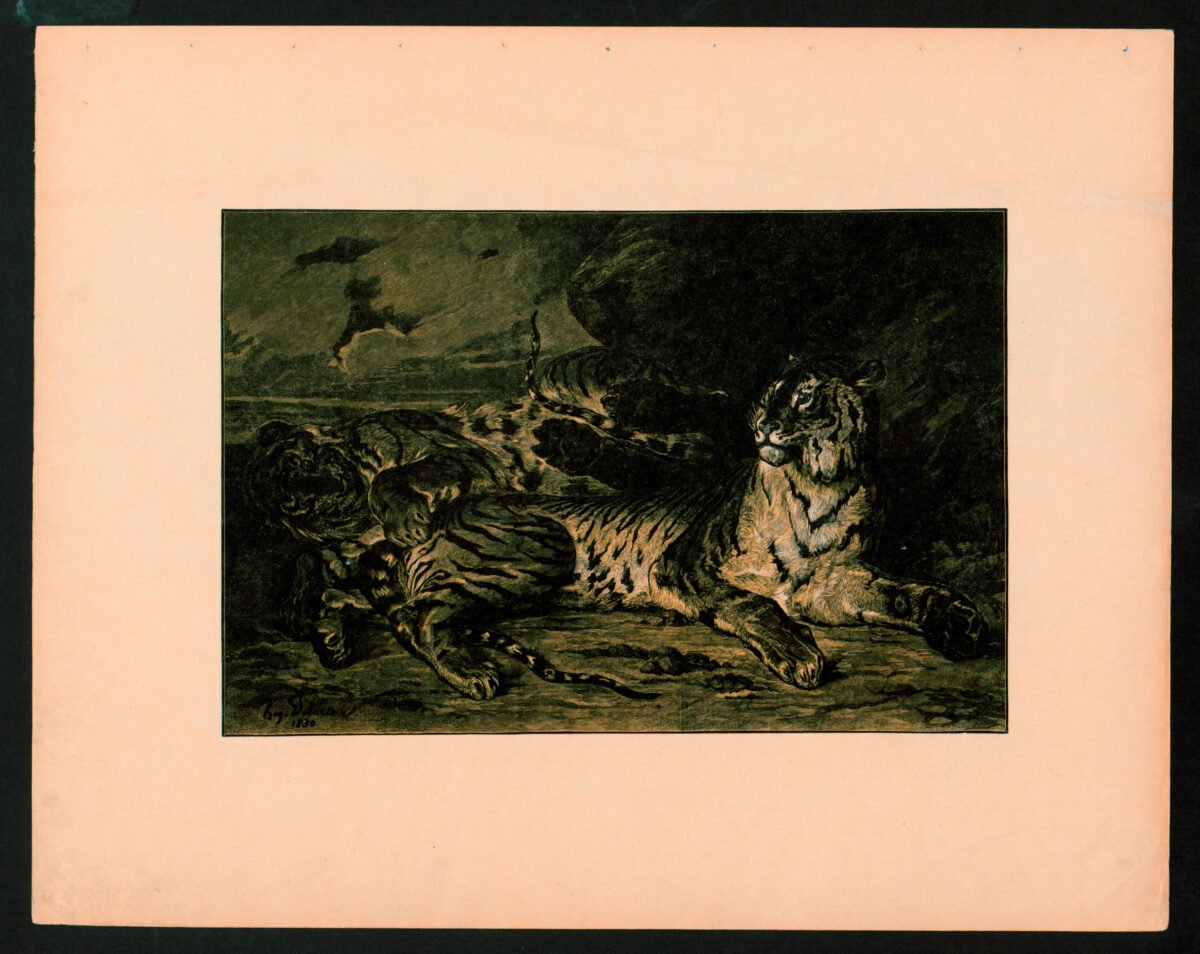 <span class="numbwork">1109</span > <span class="bullwork">•</span > Tigre joven jugando con su madre - Image 2