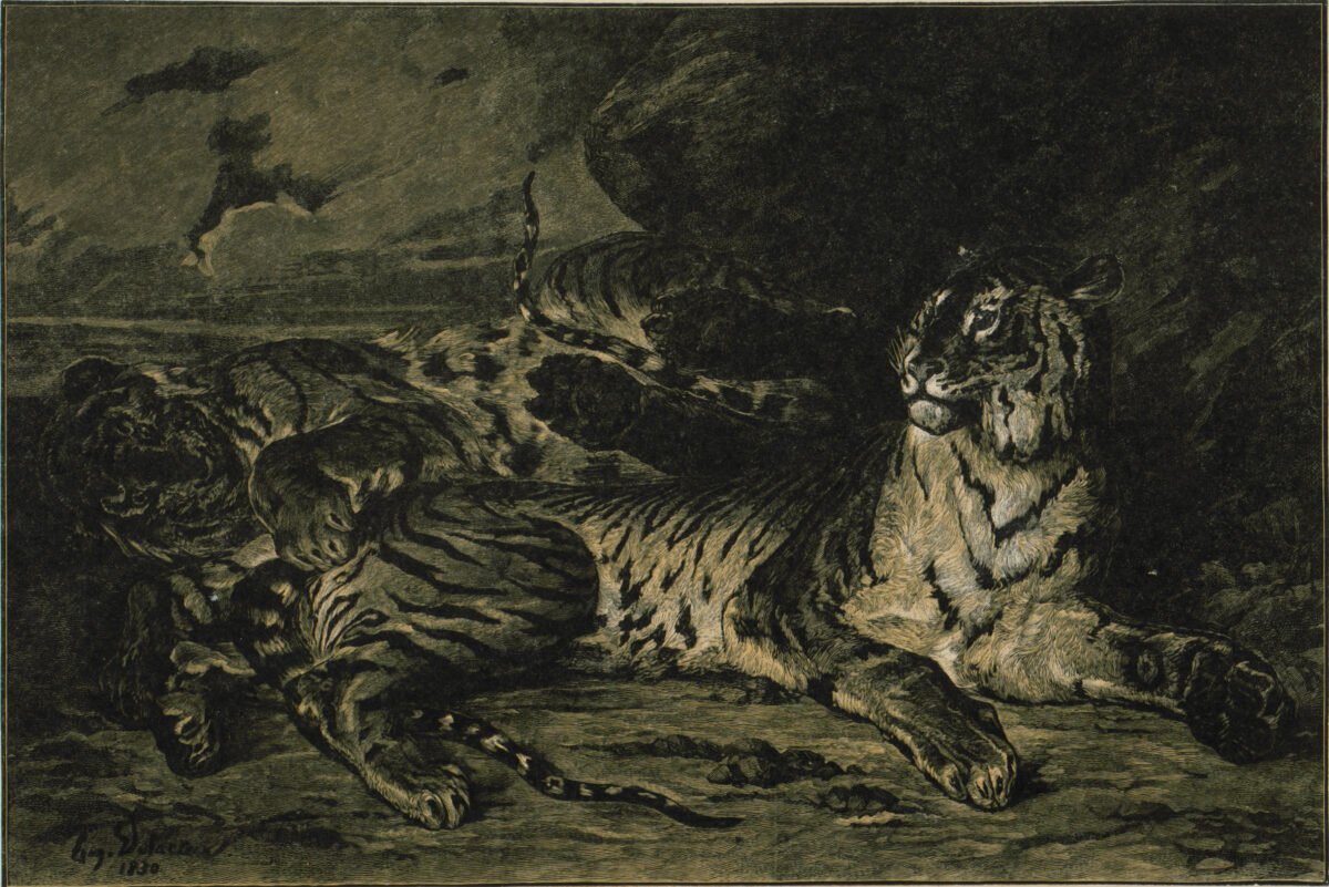 <span class="numbwork">1109</span > <span class="bullwork">•</span > Tigre joven jugando con su madre