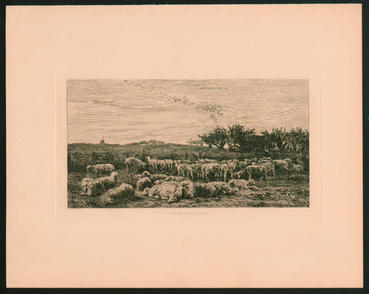 <span class="numbwork">1126</span > <span class="bullwork">•</span > El gran establo de ovejas en la mañana - Image 2