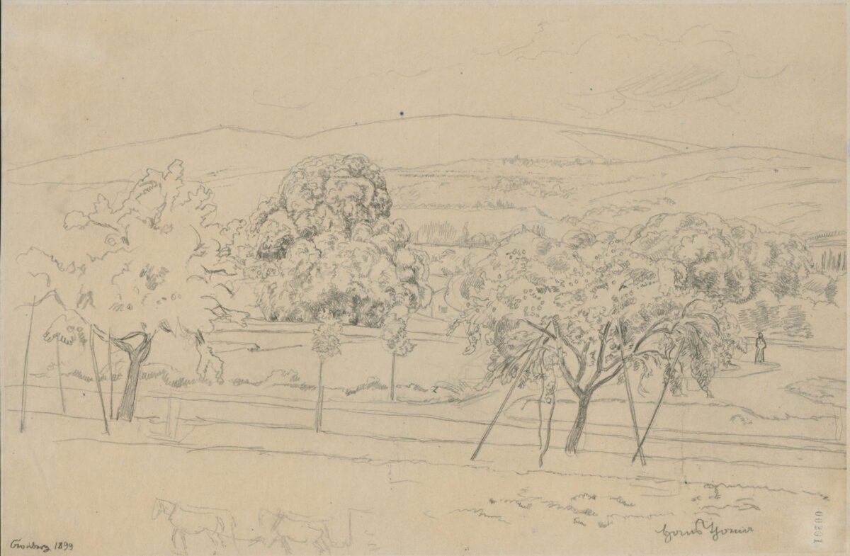 <span class="numbwork">1156</span > <span class="bullwork">•</span > Kronberg (1899)