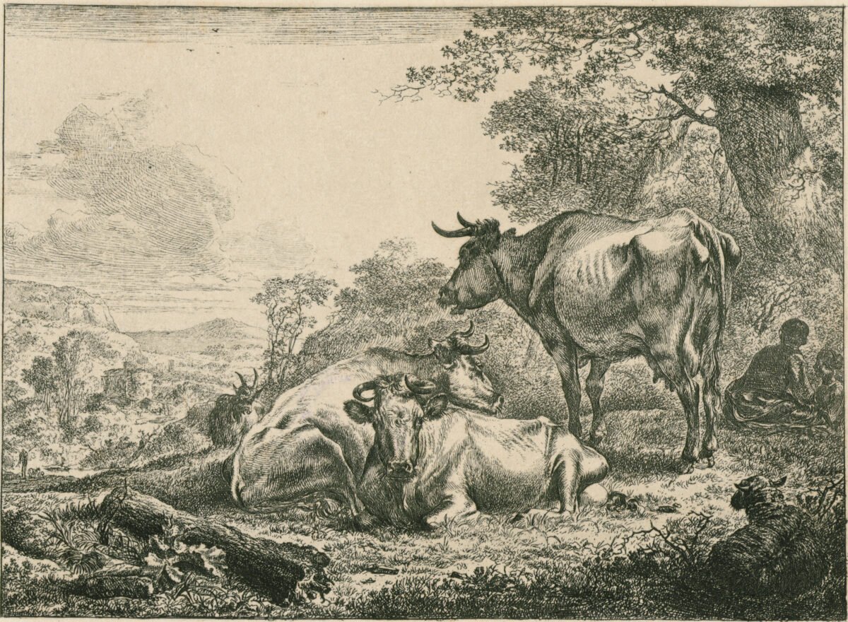 <span class="numbwork">1183</span > <span class="bullwork">•</span > Vacas descansando