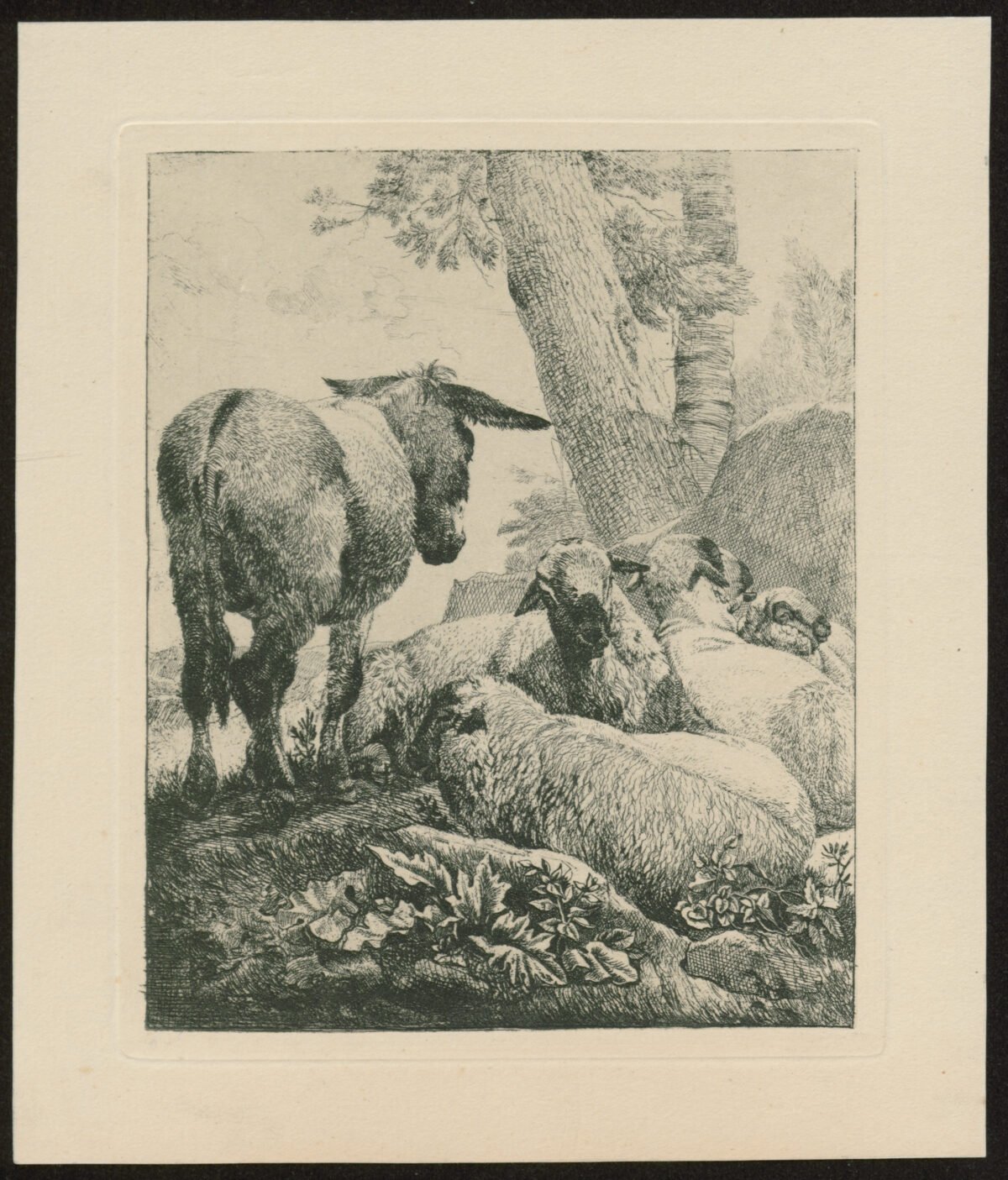 <span class="numbwork">1184</span > <span class="bullwork">•</span > El burro y las cuatro ovejas - Image 2