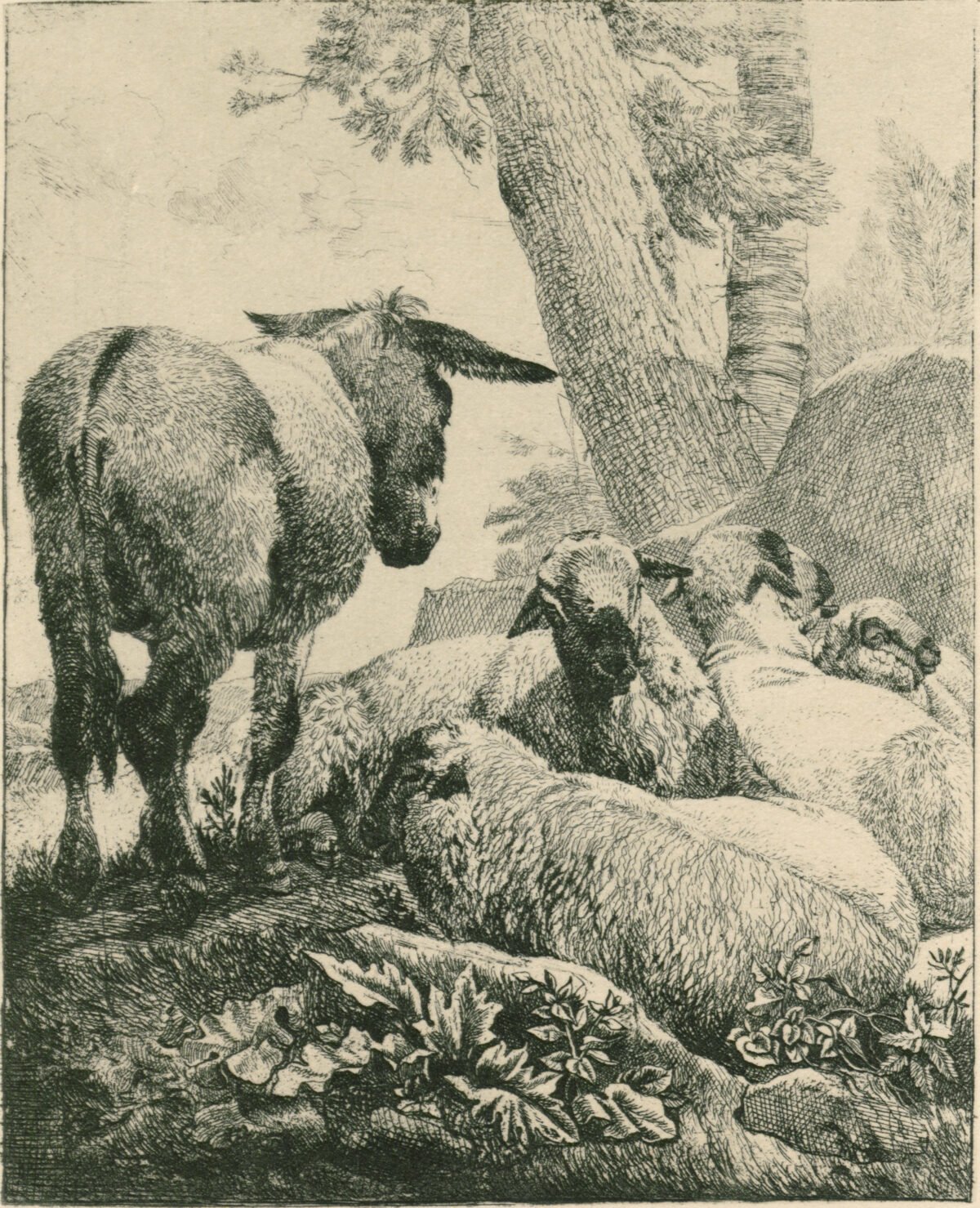 <span class="numbwork">1184</span > <span class="bullwork">•</span > El burro y las cuatro ovejas